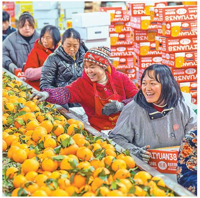 1737077539660023746.png image.png