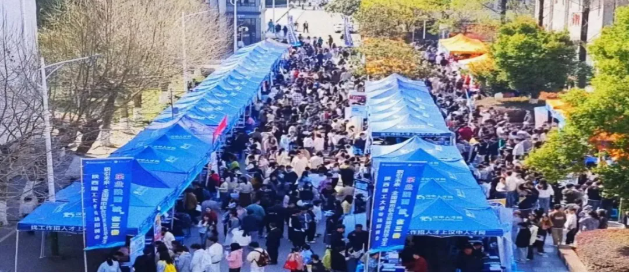 1743493879762037565.png image.png