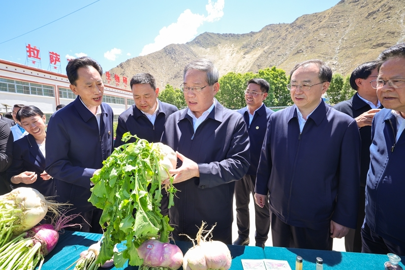 1753148237307028430.png image.png